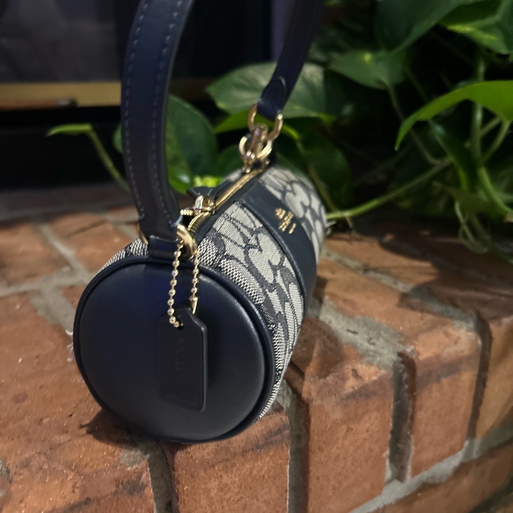 Coach Blue and Cream Mini Bag